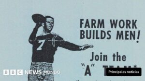El programa con el que hace 60 años el gobierno de EE.UU. quiso sustituir a agricultores migrantes con estudiantes (y resultó un fiasco)