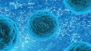 El sorprendente potencial del subsuelo terrestre para albergar vida