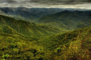 Expertos de la ONU aplauden veto a reforma ambiental en Brasil : IPS Agencia de Noticias