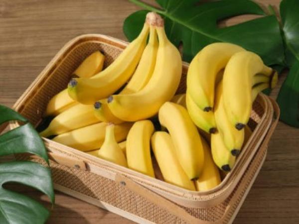 Exportaciones de banano de Colombia y Caribe aumentan 22% en primer semestre de 2025 | Agro | Economía