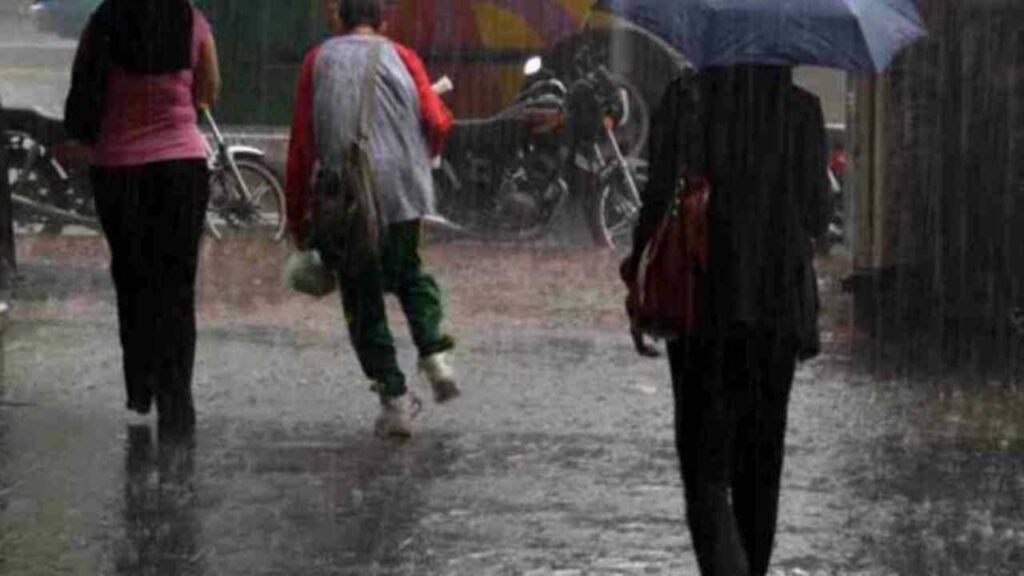 Fuertes lluvias provocan caídas de cables y árboles en Falcón