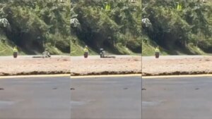 La heroica acción de soldado del Ejército Nacional que verificó posible artefacto explosivo de las disidencias en la vía Panamericana, en Cauca