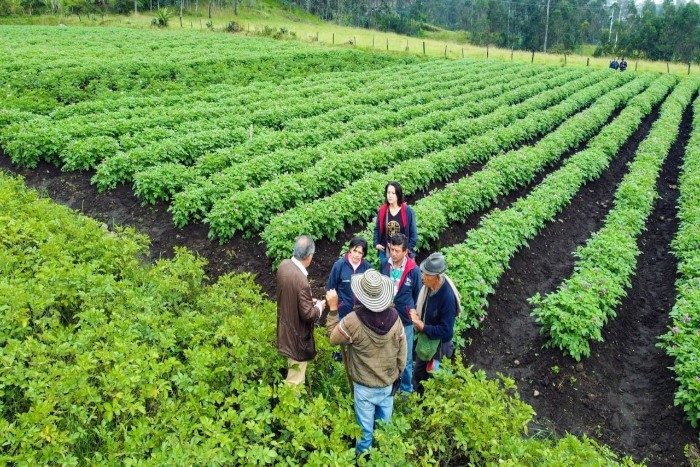 Ministerio de agricultura gestiona ayudas para el municipio de pasto
