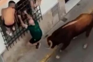 Murió tras ser embestido por un toro durante una celebración popular