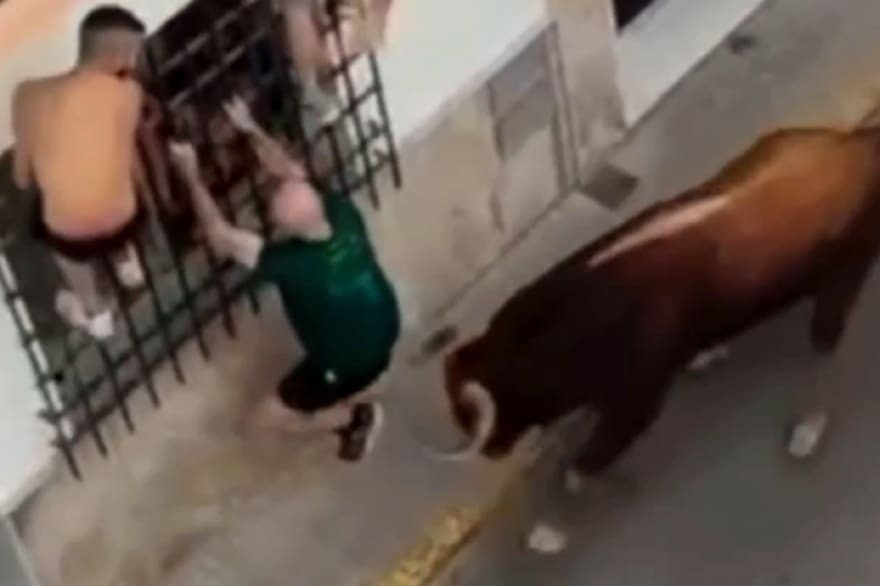 Murió tras ser embestido por un toro durante una celebración popular