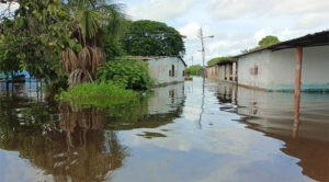 Niveles del río Orinoco muestran descensos progresivos