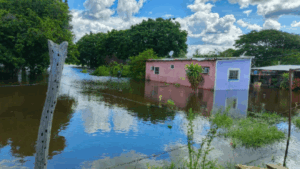 Niveles del río Orinoco muestran descensos progresivos