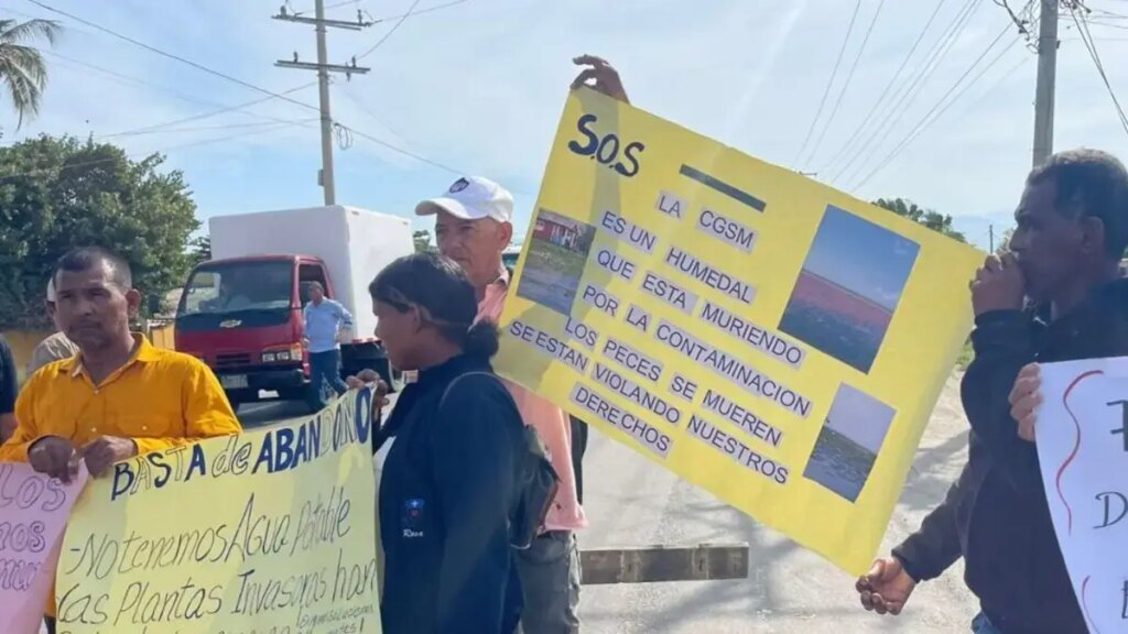 Nueva Venecia, atrapada entre el agua y la maleza: el pueblo palafito que podría desaparecer