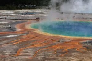 Paso clave para desentrañar el origen de la vida: descubren cómo el ARN pudo comenzar a crear proteínas en la Tierra primitiva