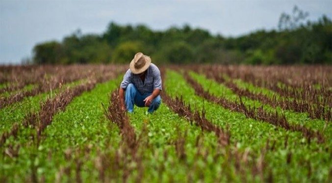 Productores agrícolas solicitan financiamientos para impulsar el sector