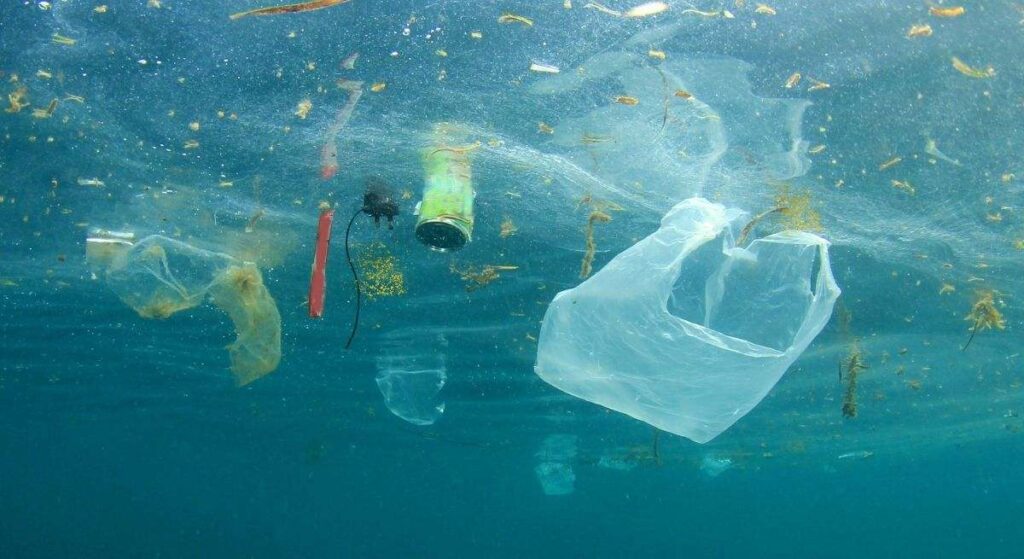 "Puntos críticos de riesgo ecológico"