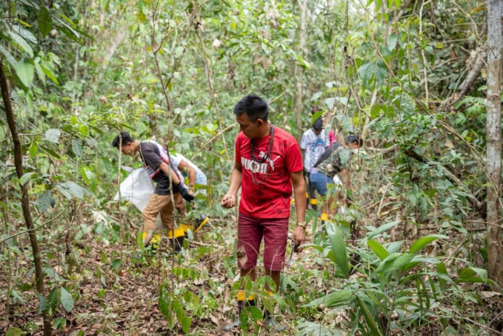 Redes de recolectores de semillas impulsan la restauración forestal en Brasil : IPS Agencia de Noticias