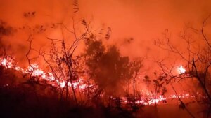 Reportan voraz incendio forestal en Dolores, Tolima; habitantes piden ayuda de los bomberos para sofocar las llamas: ‘Hay nacimientos de agua’