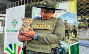 Rescate de fauna silvestre en Nariño y Putumayo