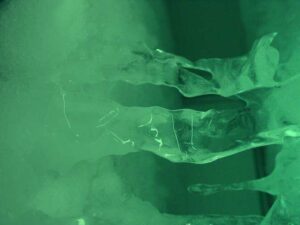 Se resuelve un problema de termodinámica que llevaba 120 años sin solución