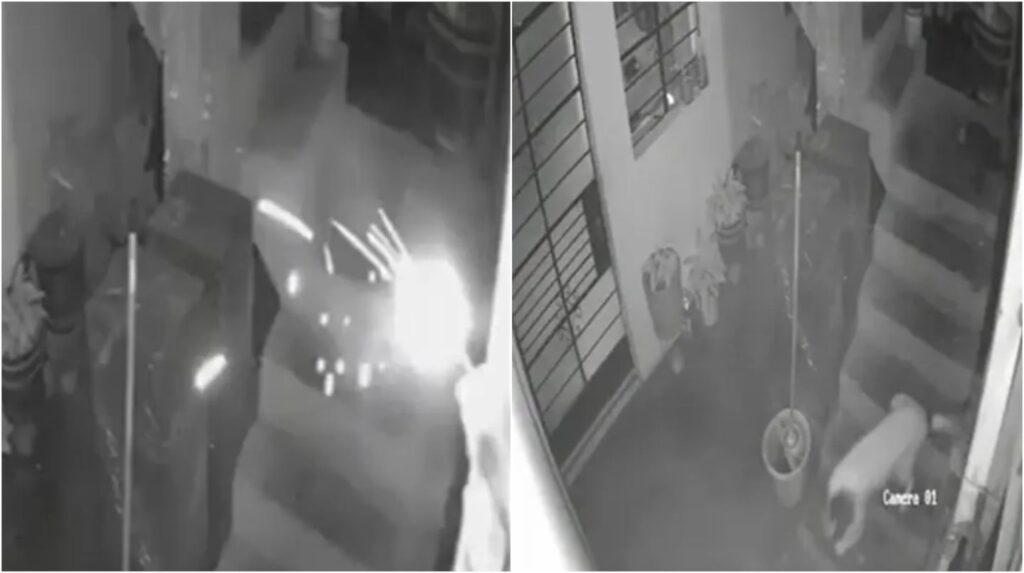 Tiraron dinamita a la casa de un periodista, pero su perra apagó la mecha a mordiscos y salvó a toda la familia (VIDEO)