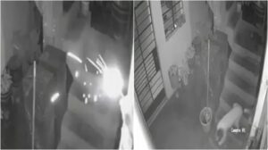 Tiraron dinamita a la casa de un periodista, pero su perra apagó la mecha a mordiscos y salvó a toda la familia (VIDEO)