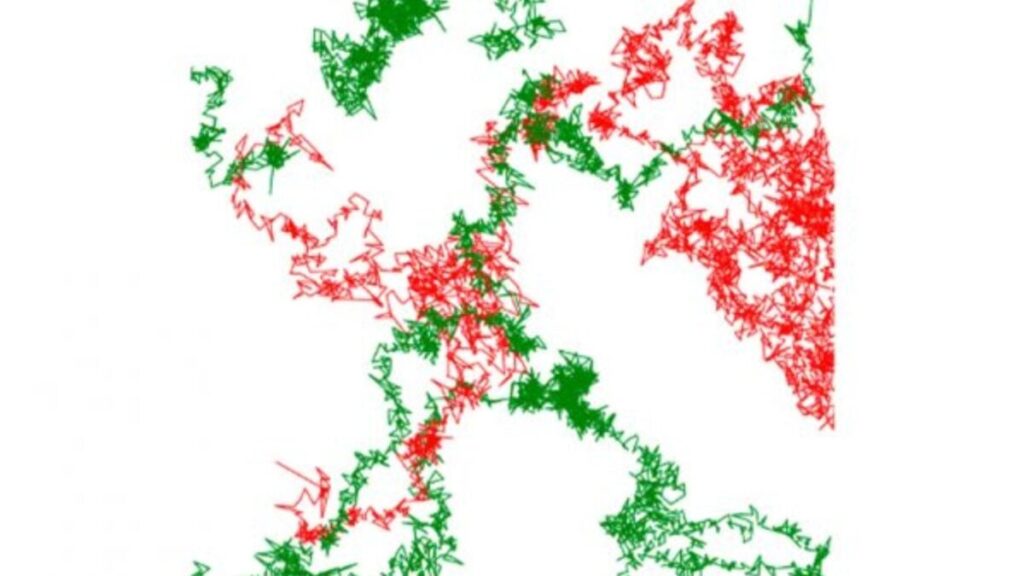 Un neurorreceptor nunca visto cobra forma. Una imagen en vivo que podría cambiar cómo entendemos las enfermedades neurológicas