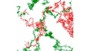 Un neurorreceptor nunca visto cobra forma. Una imagen en vivo que podría cambiar cómo entendemos las enfermedades neurológicas