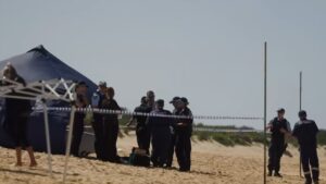 Un surfista australiano murió tras ser atacado por un tiburón en una playa de Sydney – AlbertoNews