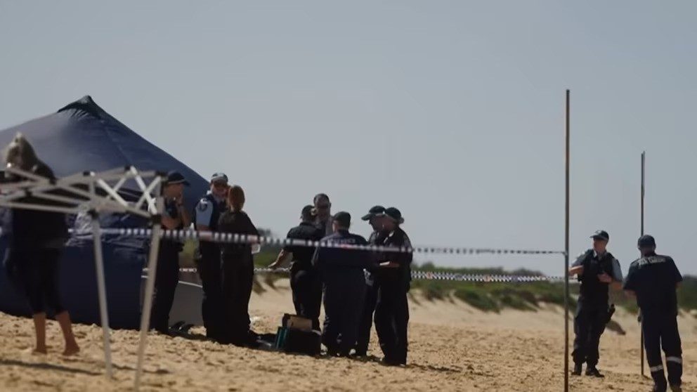 Un surfista australiano murió tras ser atacado por un tiburón en una playa de Sydney - AlbertoNews