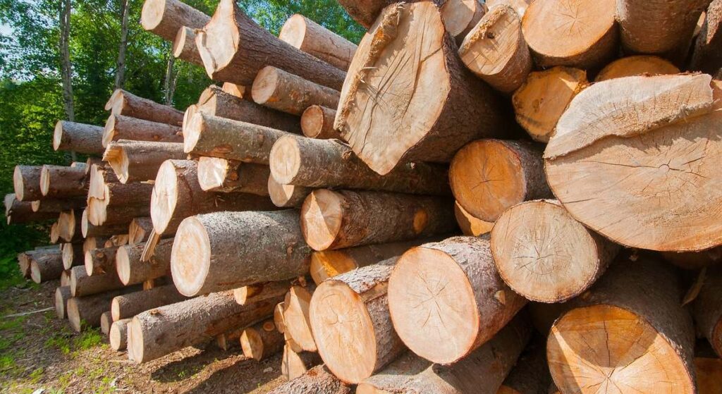 el hundimiento del precio de la madera da una mala señal