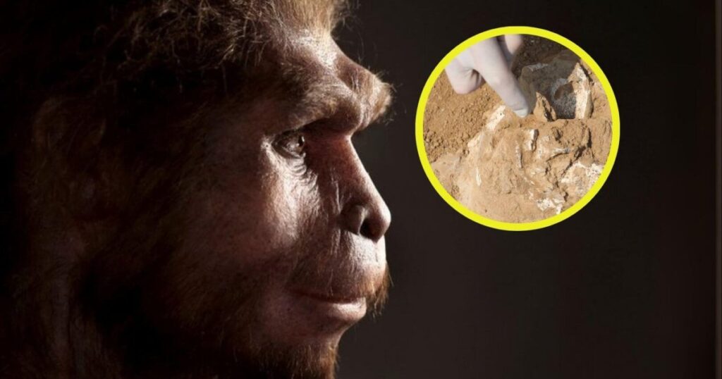 podría ser la prueba más antigua de la expansión fuera de África