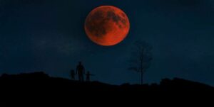 un recorrido visual del eclipse que cautivó a millones
