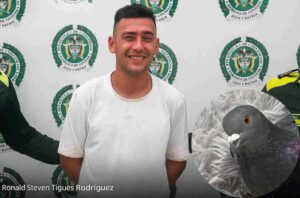 ¡Como película de terror! Hombre decapitó palomas con los dientes en pleno parque de Colombia