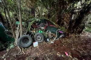 ¿Cómo logró esconderse cuatro años en el bosque el neozelandés fugado con sus 3 hijos? | elmundo.es