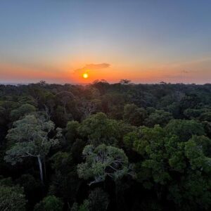 ¿Cuál es el origen de la Amazonía? Parte de la respuesta podría estar relacionada con el asteroide que acabó con los dinosaurios