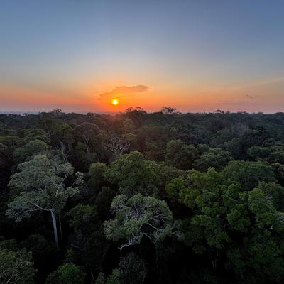 ¿Cuál es el origen de la Amazonía? Parte de la respuesta podría estar relacionada con el asteroide que acabó con los dinosaurios