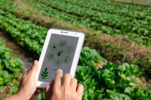 Adopción de agrotecnología en Venezuela sigue siendo limitada – AlbertoNews