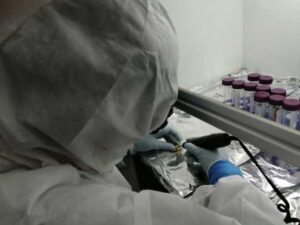 Averiguan detalles sociales sobre los primeros agricultores