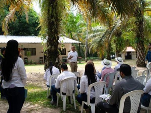 Cargill y Solidaridad impulsan sostenibilidad en palma con App Ecopalma | Sostenibilidad