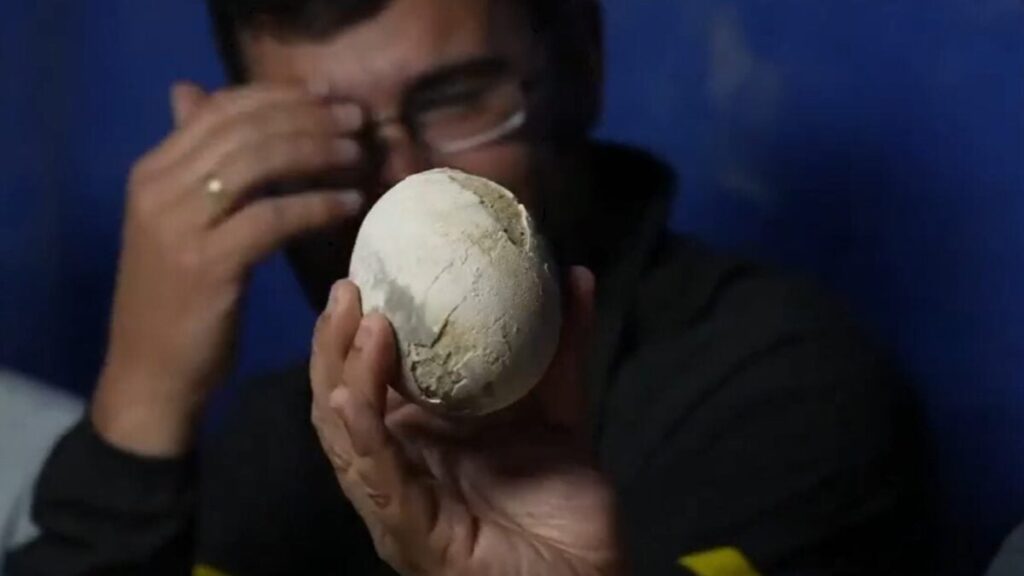 Científicos descubren un huevo de dinosaurio carnívoro totalmente intacto y lo muestran en vivo