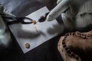 Cómo el ADN antiguo, desde los neandertales hasta la peste negra, ha transformado la arqueología | National Geographic