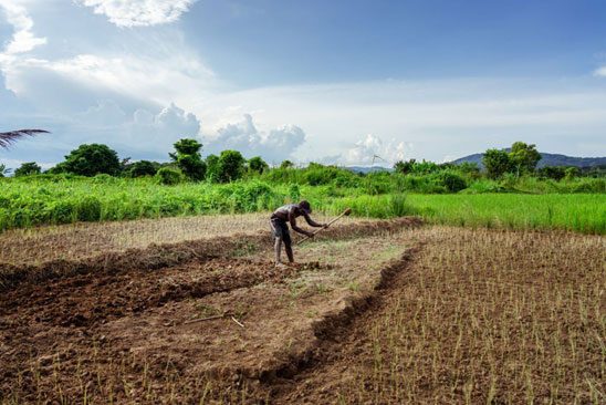 Comunidades indígenas están en primera línea de la acción climática: es hora de que la COP les escuche : IPS Agencia de Noticias