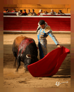 David de Miranda debutará en la Feria Internacional de San Sebastián 2026 – Diario La Nación