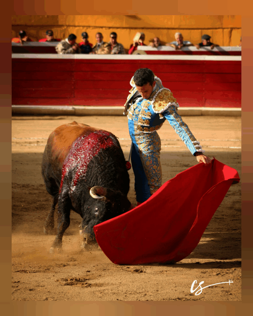 David de Miranda debutará en la Feria Internacional de San Sebastián 2026 – Diario La Nación