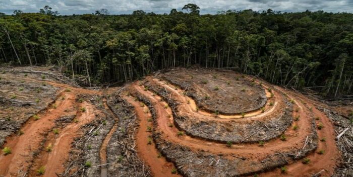 Degradación de los bosques en Latinoamérica es "peor" que hace 30 años por el desarrollo - AlbertoNews