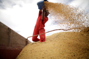 EE.UU. exportará a China 12 millones de toneladas de soja este año y 25 anuales hasta 2028 – AlbertoNews