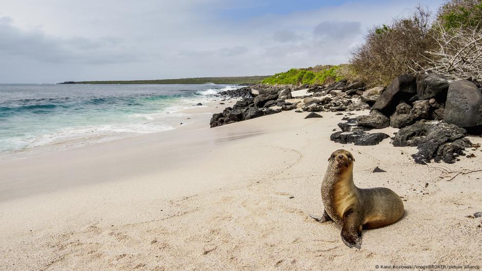 Ecuador y EE.UU. descartan base militar en islas Galápagos – DW – 31/10/2025