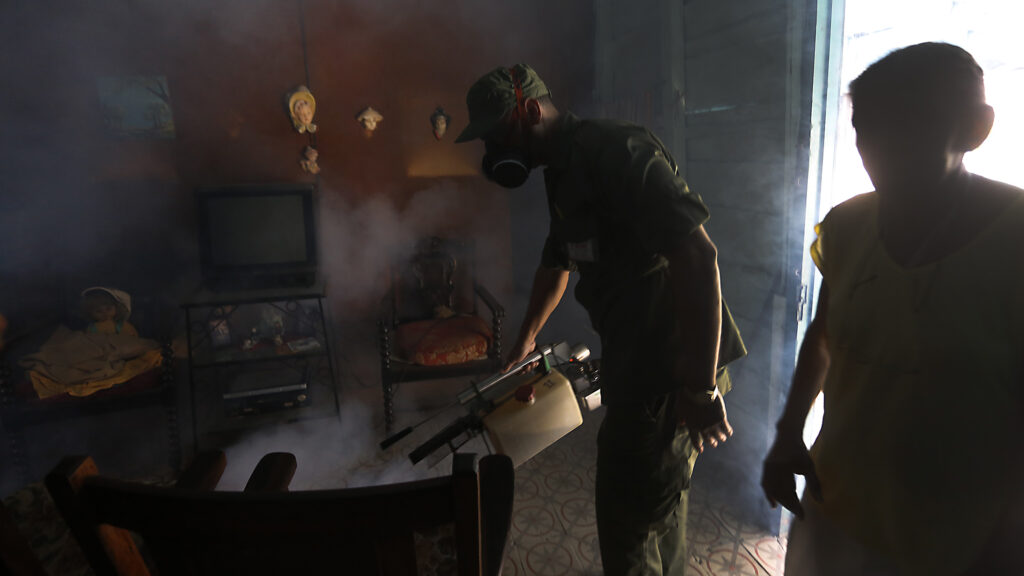 El dengue y el chikunguña rebrotan entre la población de Cuba : IPS Agencia de Noticias