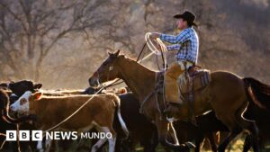 «Es una traición»: la furia de los ganaderos en EE.UU. porque el gobierno de Trump quiere importar más carne argentina