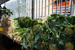 Fedeagro reportó caída del 60% en el consumo de hortalizas en Venezuela