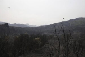 Fiscalía del TSJCyL abre diligencias contra Mañueco y Quiñones por la gestión de los incendios que asolaron El Bierzo | europapress.es