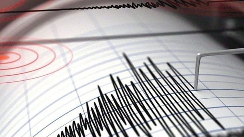 Funvisis reporta sismo al sureste de Güiria