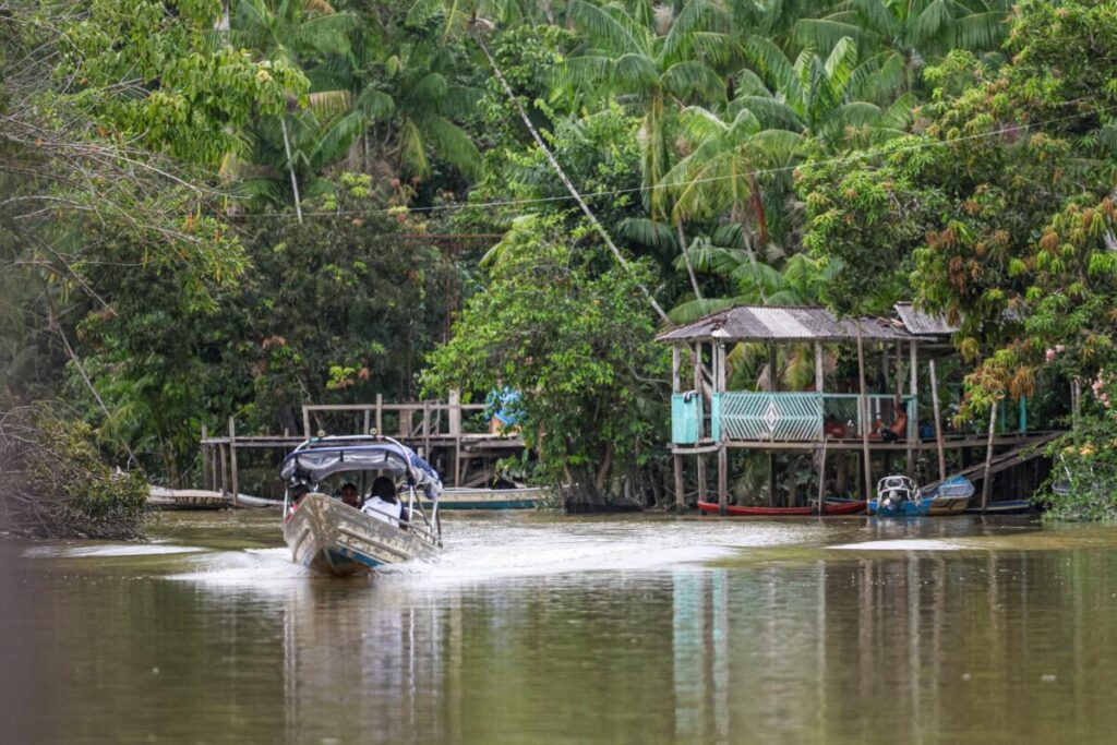 La Amazonia de cara a la COP30: ¿activo global o frontera de explotación? : IPS Agencia de Noticias