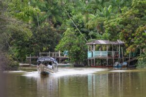 La Amazonia de cara a la COP30: ¿activo global o frontera de explotación? : IPS Agencia de Noticias